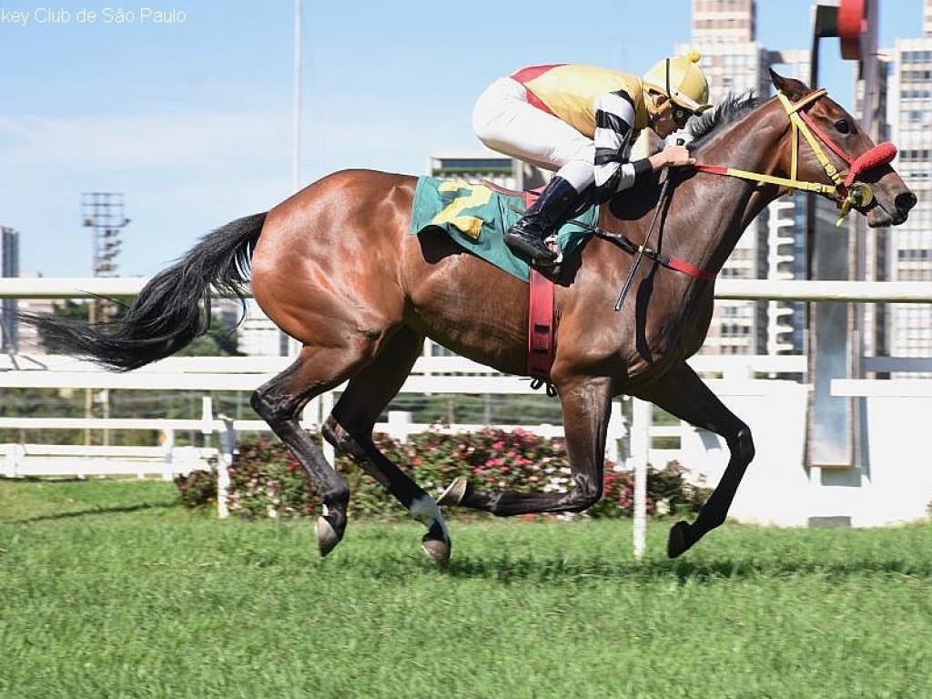 Foto: Em dia de Haras Phillipson, Penina vence a PE Caetano Benito Liberatore