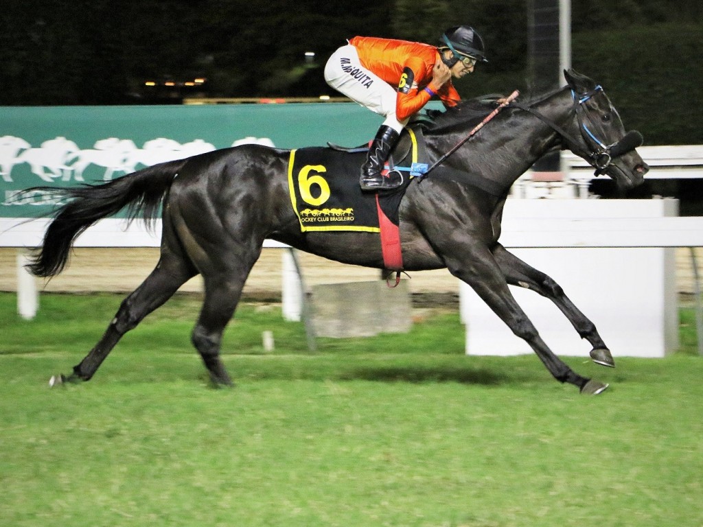 Foto: Com autoridade, Nice Dream vence o GP Octávio Dupont (G3)