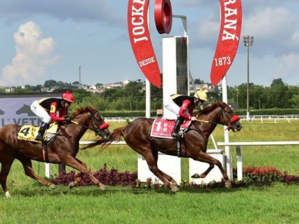 Foto: Los Angeles comanda dobrada do Haras Belmont no Clássico Primavera (L)