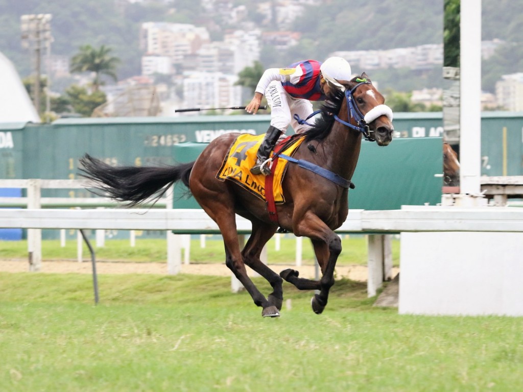 Foto: Luna Linda atropela forte para seu batismo nobre no GP Armando Carneiro (G3)