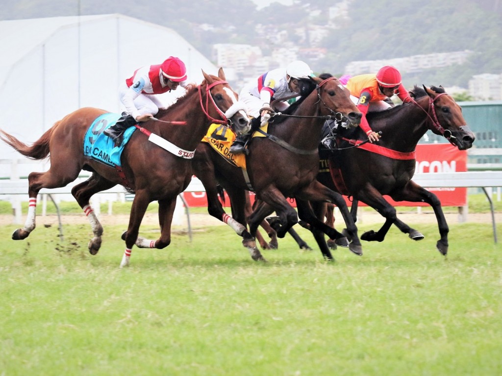 Foto: Quantify resiste a Sugar Daddy e Don Cambay para conquistar o GP Almirante Tamandaré (G2)