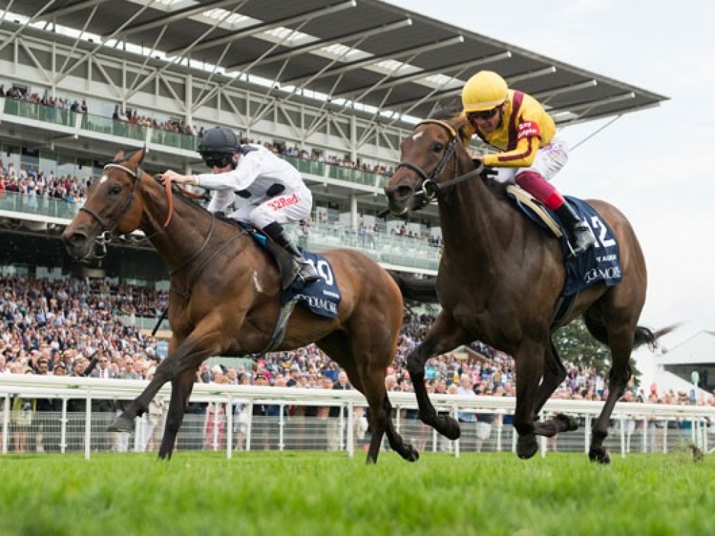 Foto: Grã-Bretanha: focinho garante vitória de Marsha sobre Lady Aurelia no Nunthorpe Stakes (gr.I)