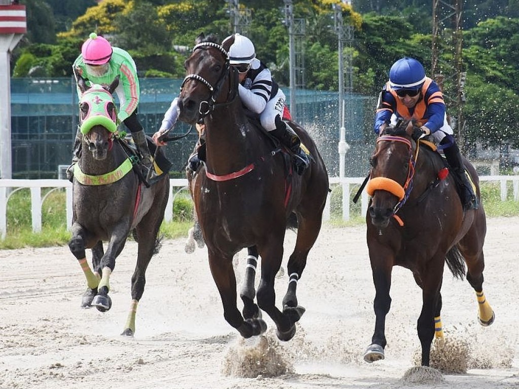 Foto: Favorito Charles Do Bronxs leva a melhor na PE Funcionários do Jockey Club