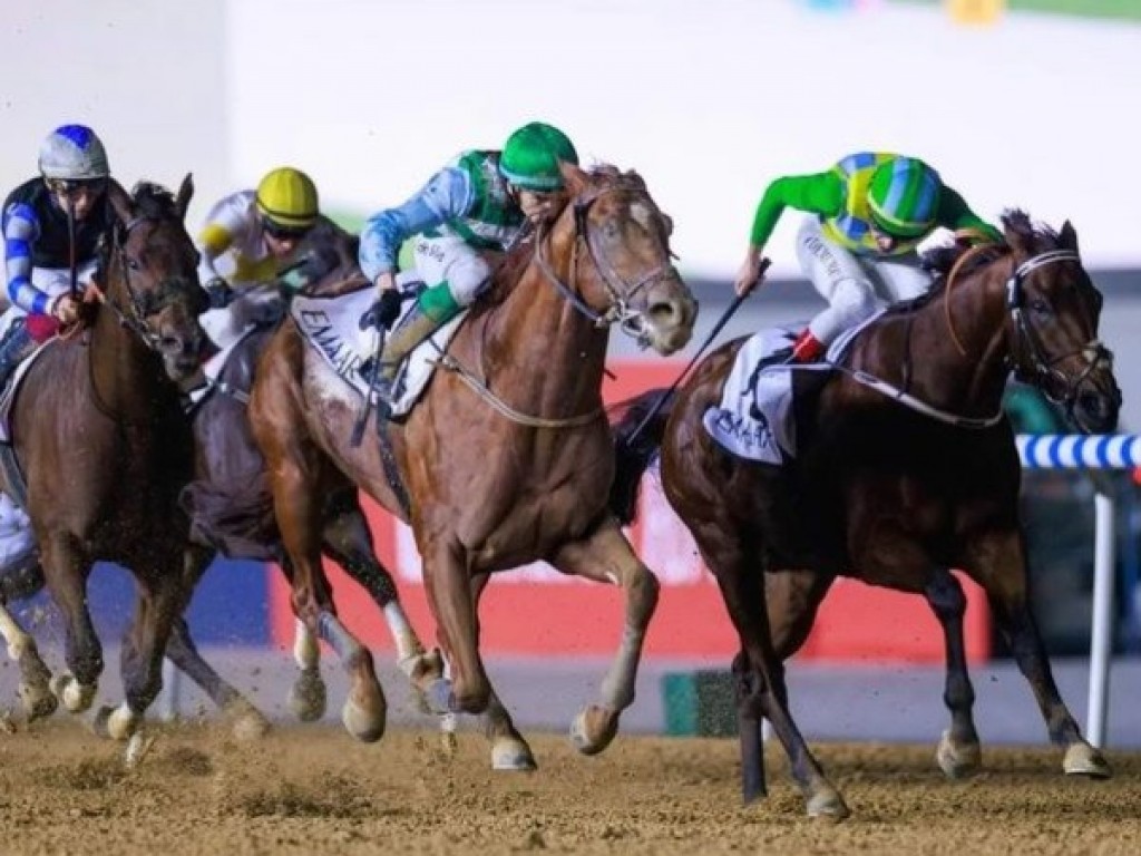 Foto: Com genética brasileira, Atlético El Culano vence listed em Dubai