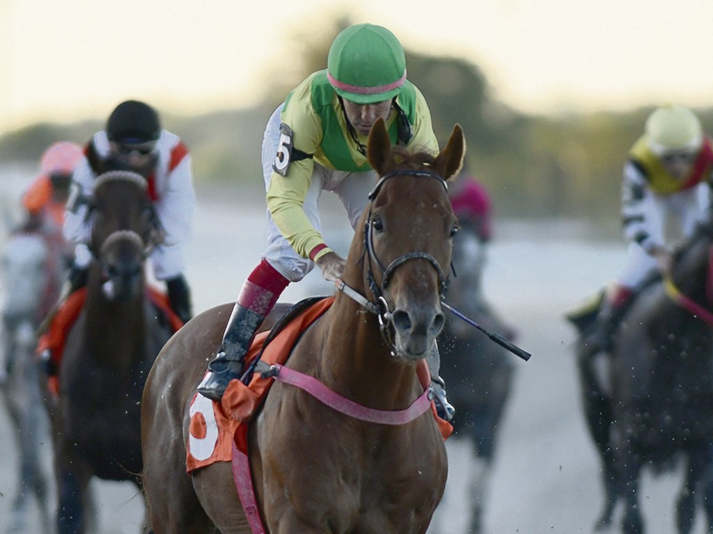 Foto: Maroñas: brasileiro Eclipse Award brilhou no último clássico do ano