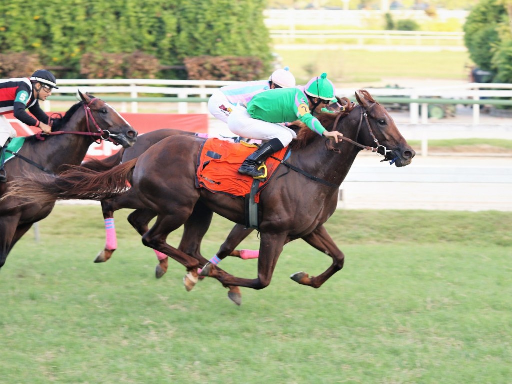 Foto: Strategic Spin: atropelada certeira no GP José Buarque de Macedo (G3)