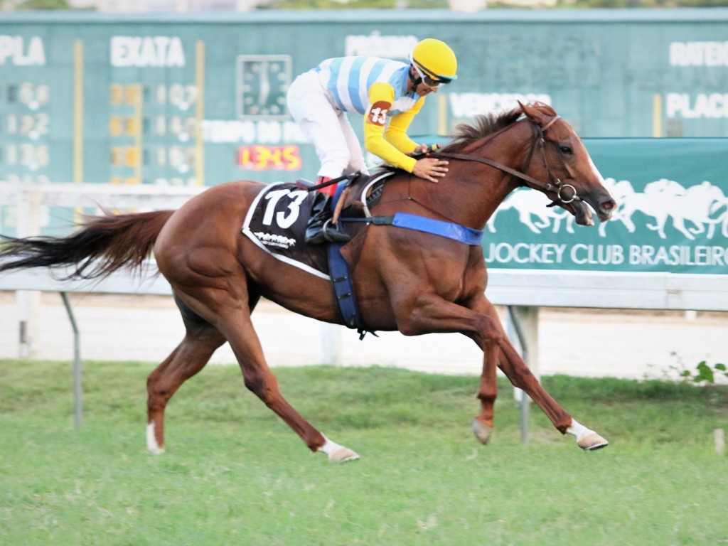 Foto: Resultante domina, amplamente, o GP Roger Guedon (G3)