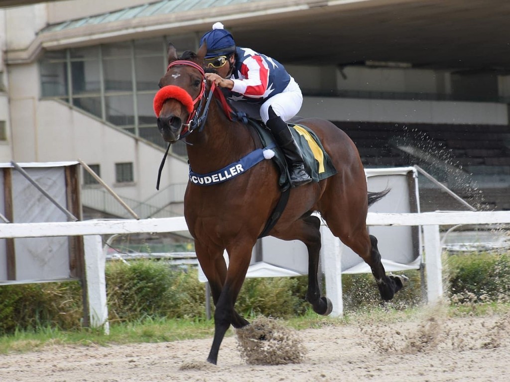 Foto: La Special Polly comanda dobrada do Stud Scüdeller na PE Soberbo