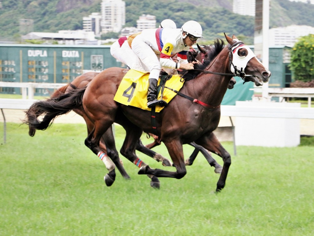 Foto: Underpants reaparece na ponta dos casos e vence a Prova Especial Falcon Jet