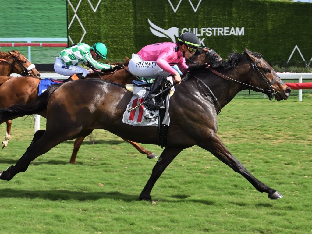 Foto: Ice Chocolat vence em Gulfstream Park