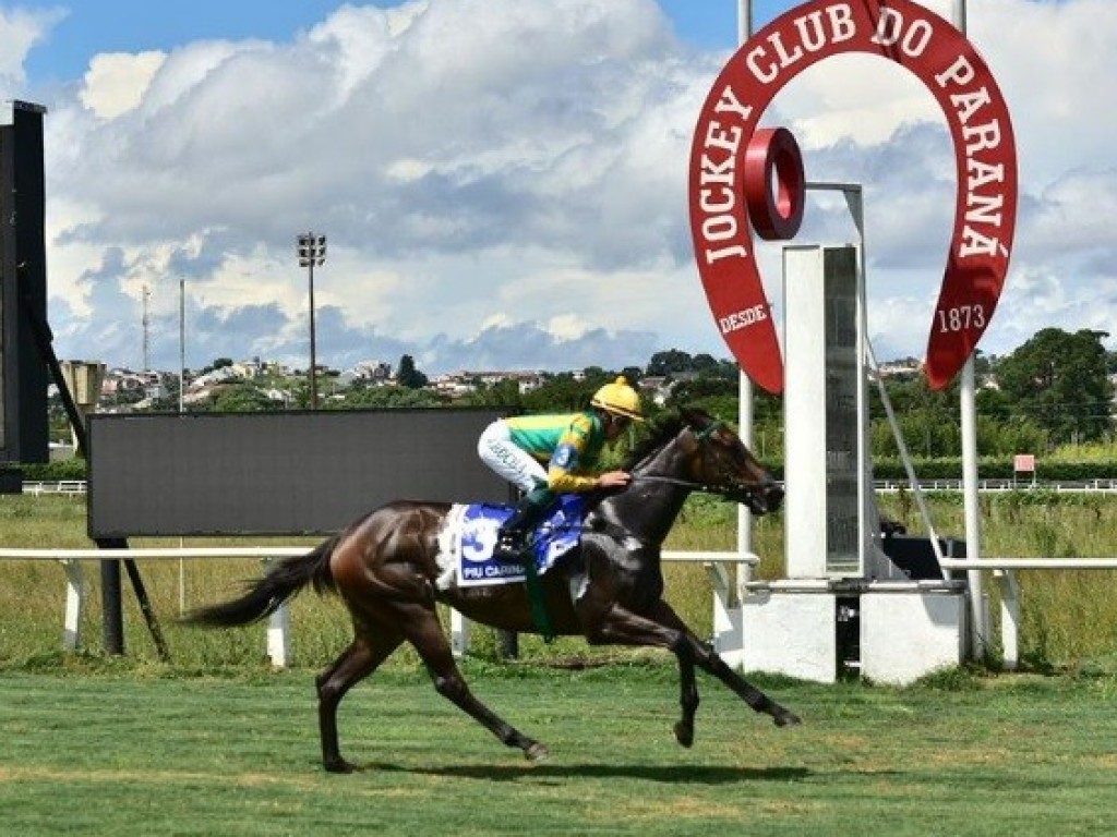 Foto: Copa Precocidade e Velocidade: Piu Carina impressiona na seletiva do Paraná