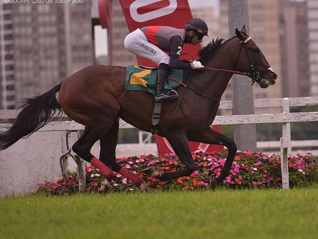 Foto: Obataye reina, absoluto, no GP Linneo de Paula Machado (G3)