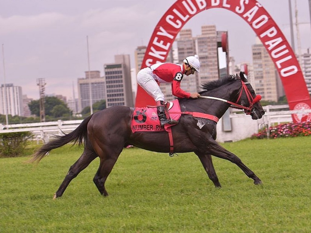 Foto: Na segunda seletiva paulista, outra vitória facílima: Number Runner