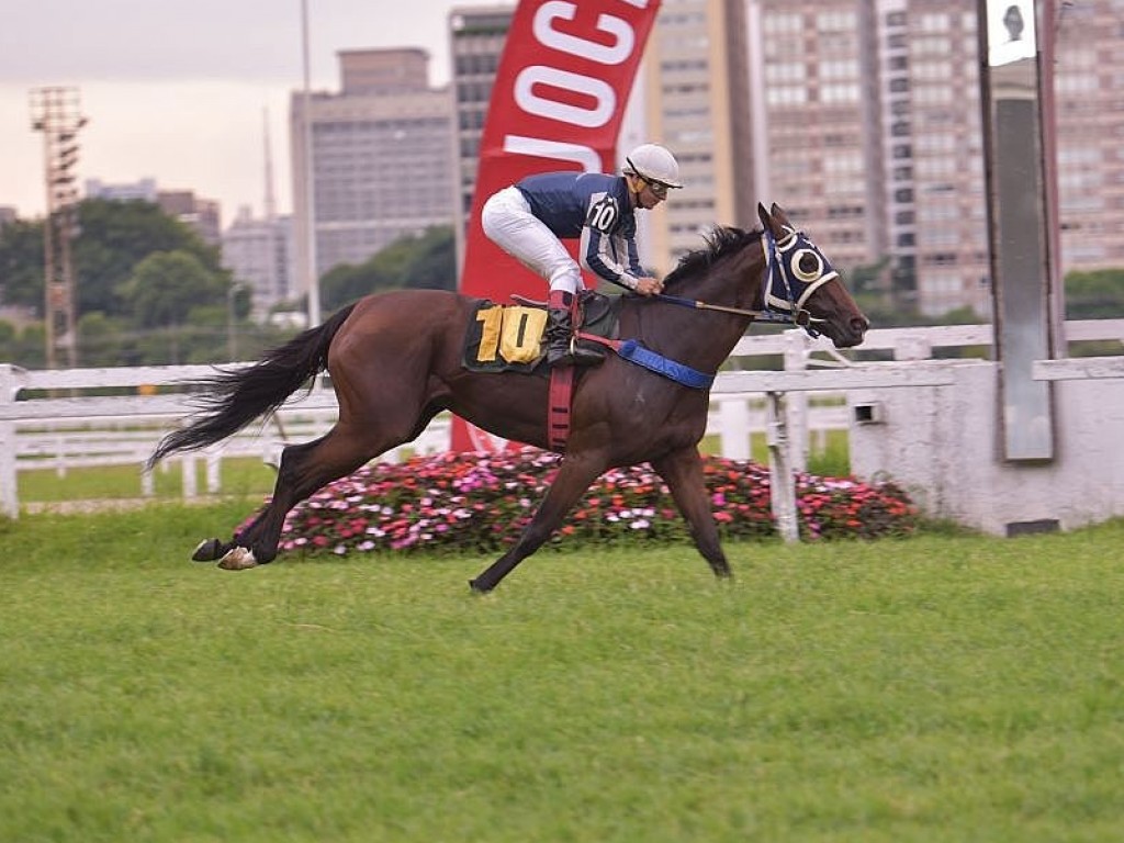 Foto: Nibble atropela forte para vencer o GP Pres. Hernani de Azevedo Silva (G2)