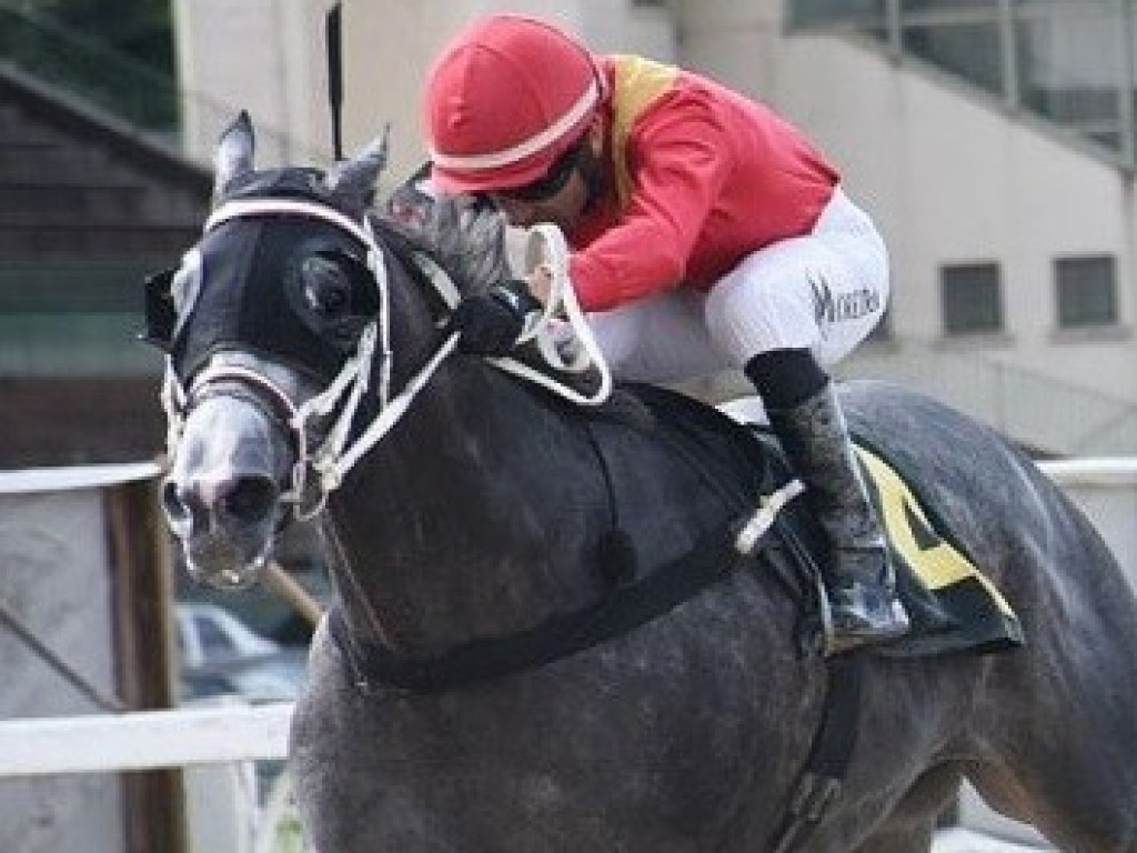 Foto: Quarter Pound: o melhor na PE Alexandre Rodolpho Smith de Vasconcellos