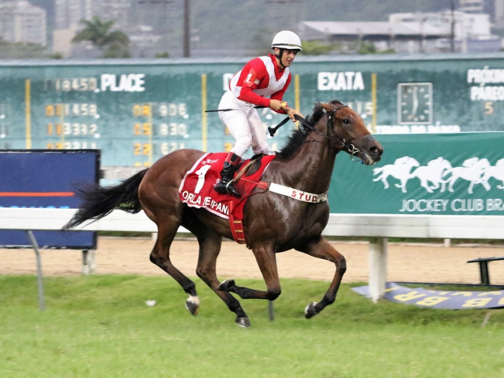 Foto: RJ: no domingo, as emoções da tríplice coroa; confira o balizamento das segundas etapas