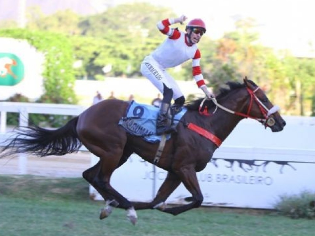 Foto: Guaruman brilha no GP Estado do Rio de Janeiro (gr.I)