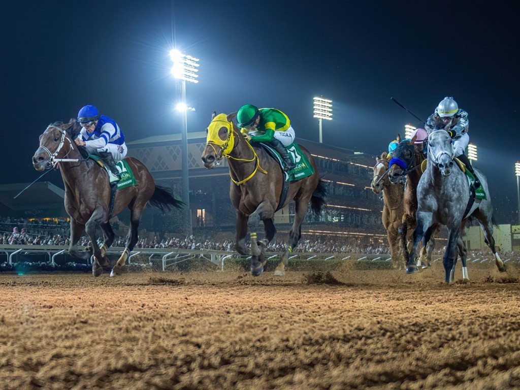 Foto: Atropelada espetacular de Senor Buscador para vencer a Saudi Cup (G1)