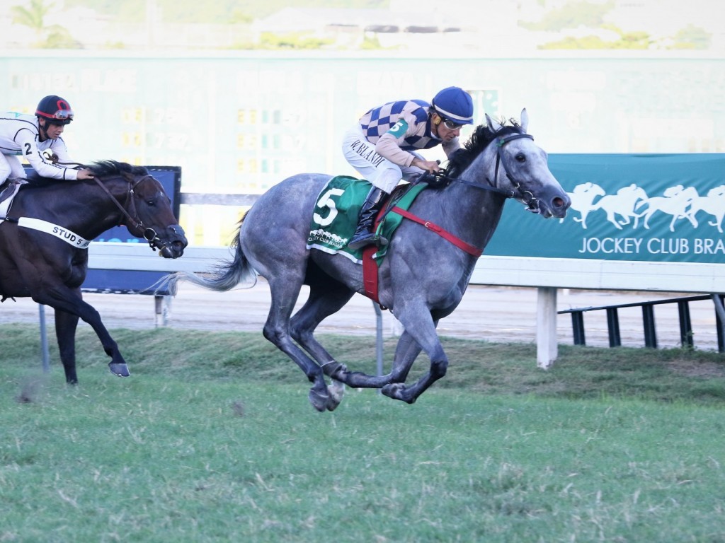 Foto: No GP Alfredo Grumser (G3), melhor para Roda Gigante