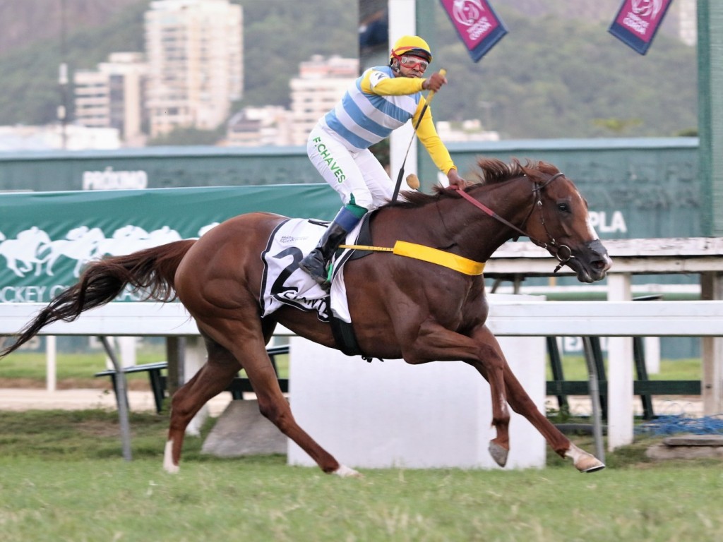 Foto: De ponta a ponta, Resultante conquista o Grande Prêmio Diana (G1) - Araras Blood & Power