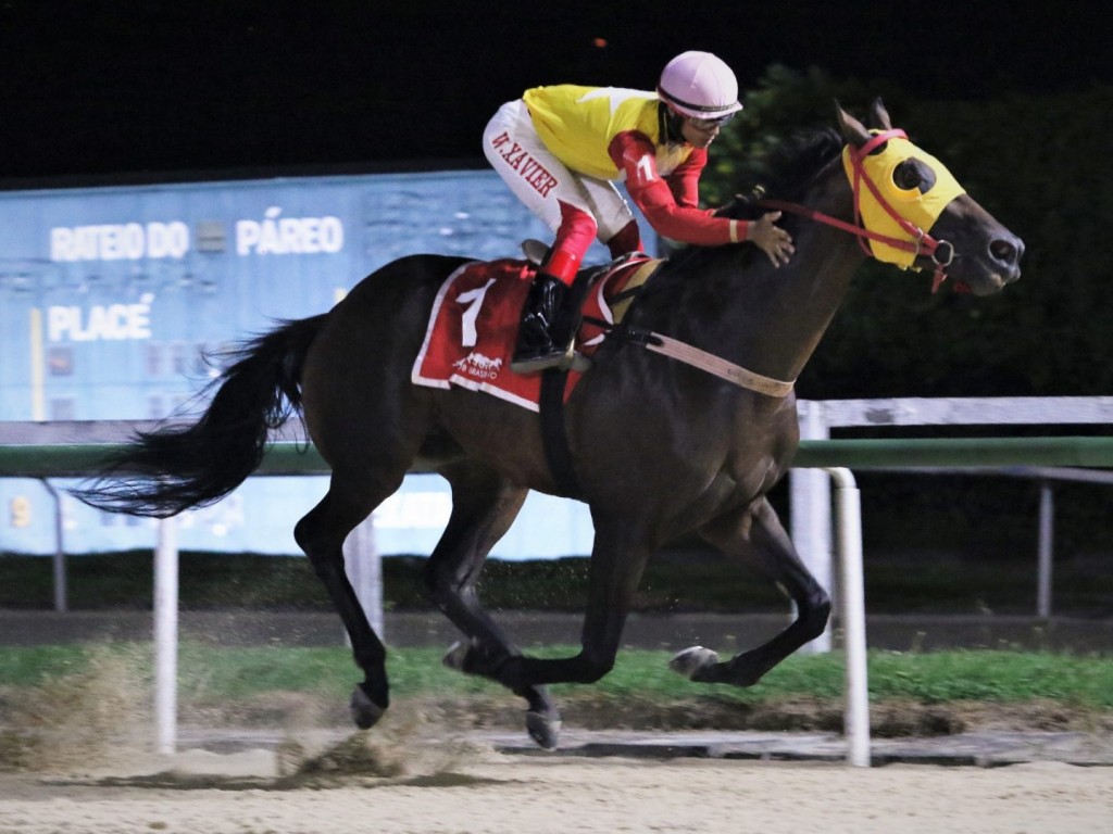 Foto: Apolo Dez dita o ritmo no GP Prof. Nova Monteiro (G3) e vai ao "Latino"