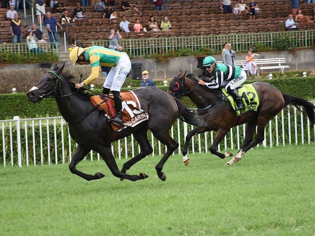 Foto: Piu Carina bate Opazo e torna-se a primeira fêmea a vencer a Copa Precocidade e Velocidade