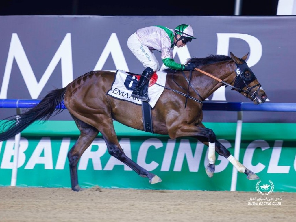 Foto: Filho da brasileira Baby Go Far brilha e deve ir ao Derby de Dubai