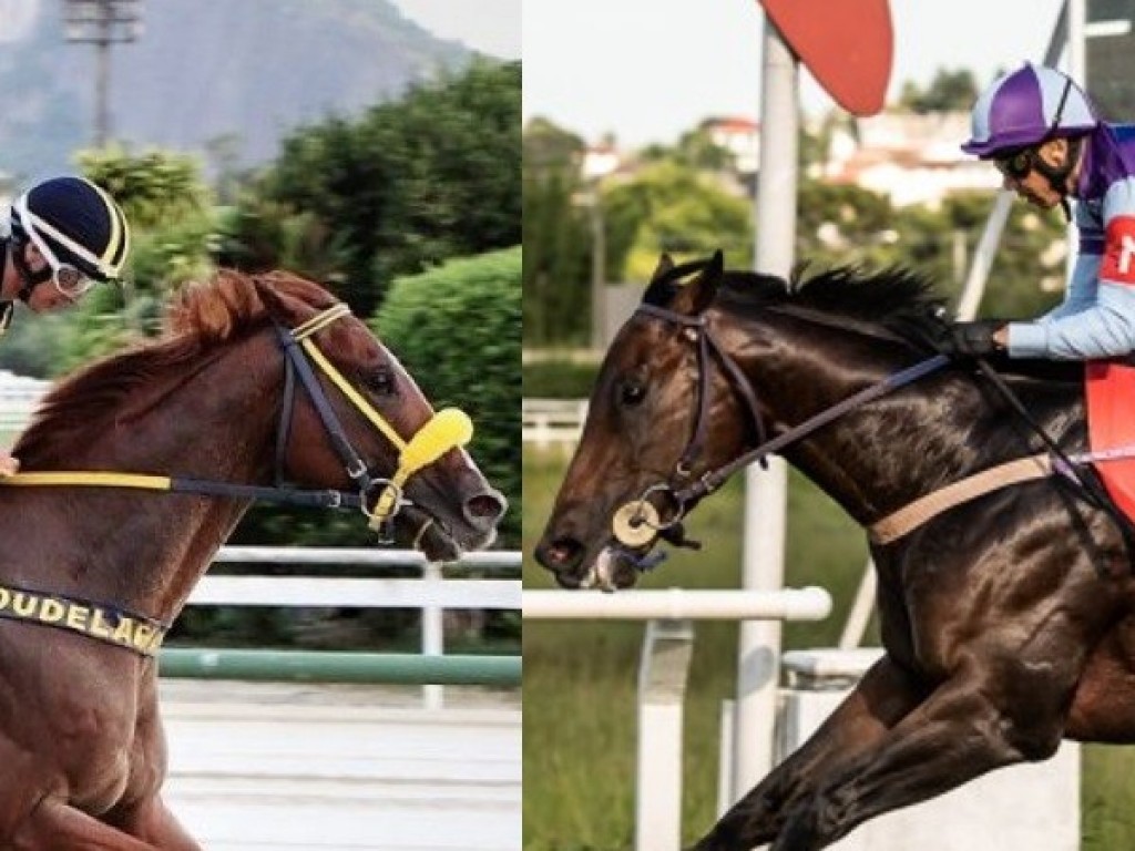 Foto: L'Ente Supremo e Pinhão do Iguassu são confirmados no Gran Premio Latinoamericano (G1)