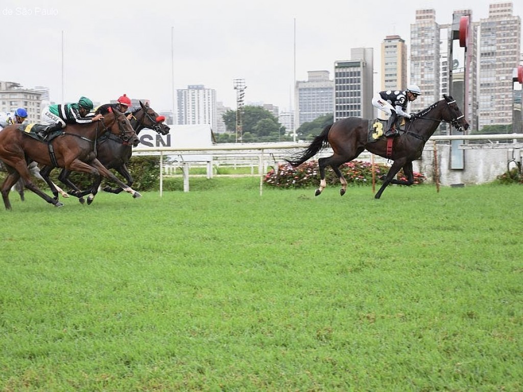 Foto: Entre as potrancas, Tempest Shadow prevalece - e segue sem conhecer derrota