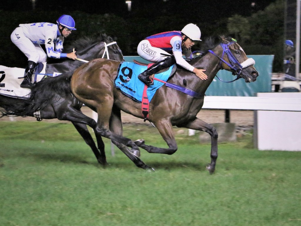 Foto: O Grande Prêmio Euvaldo Lodi (G3) é de Luna Linda