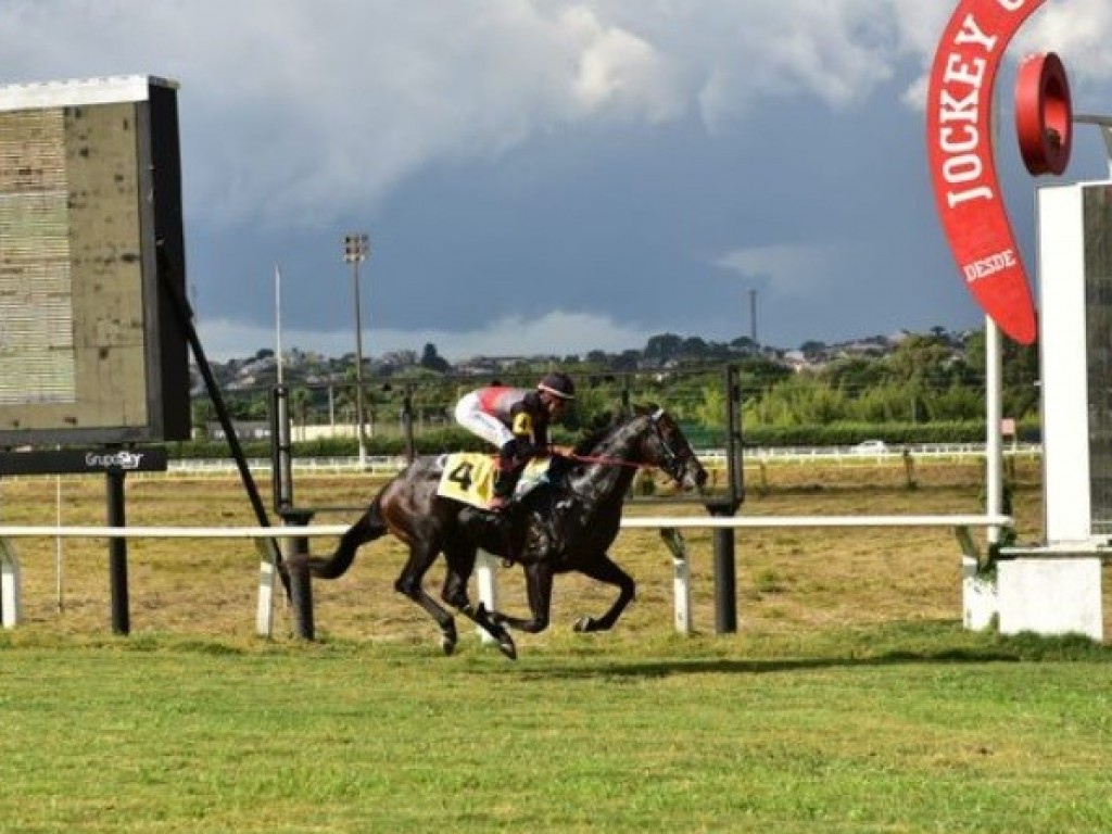 Foto: Em recorde, Boy Gift vence listed, em Curitiba