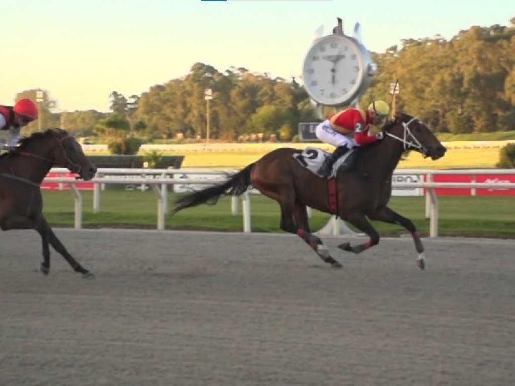 Foto: Join Battle lidera trifeta brasileira no Gran Premio Municipal (L)