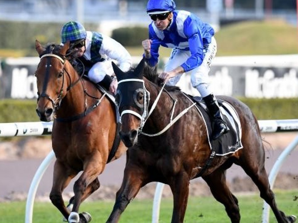 Foto: Austrália: nas pegadas de Black Caviar, Winx iguala recorde de Zenyatta