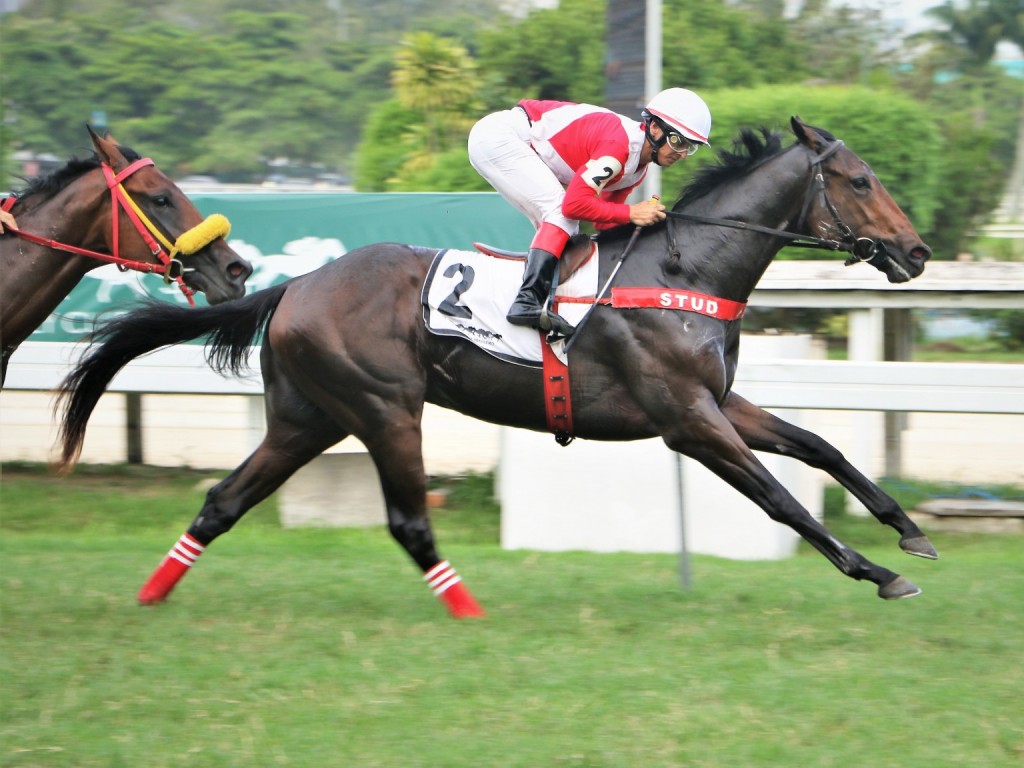 Foto: Navy of War vence o GP Mário de Azevedo Ribeiro (G3) e segue sem conhecer derrota