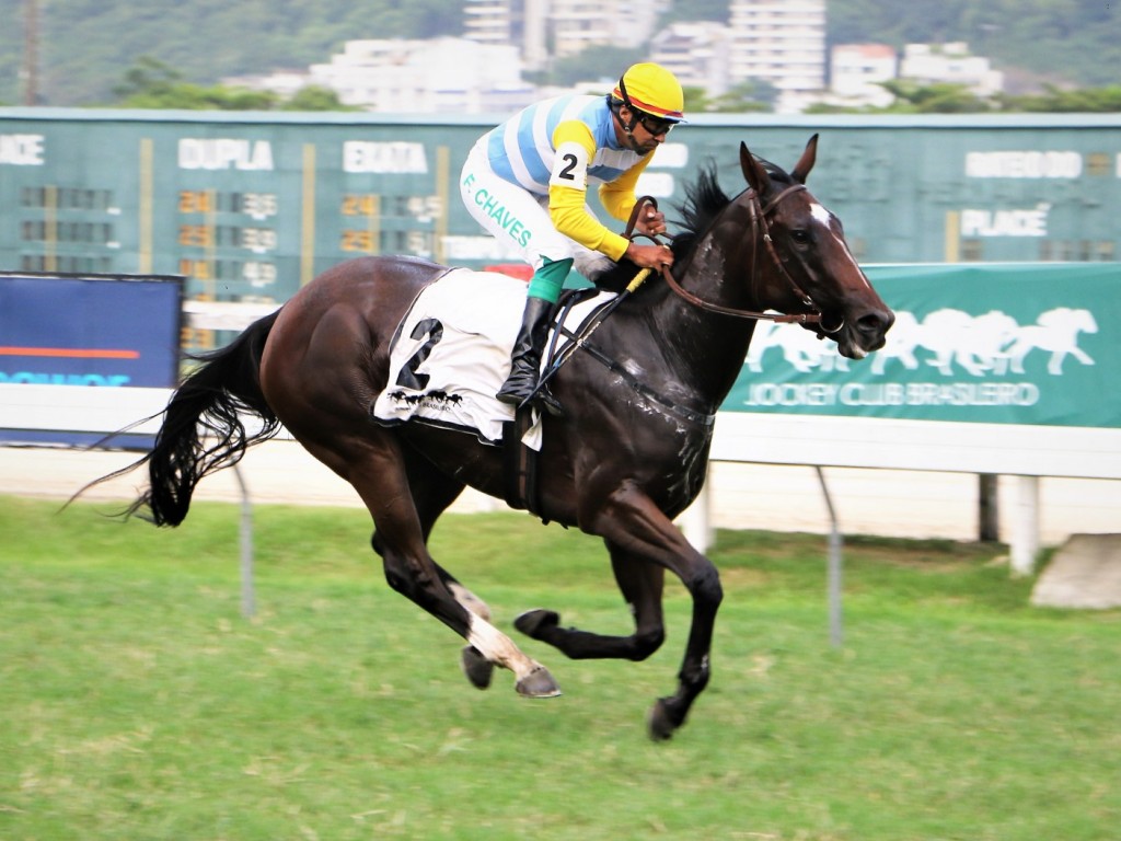 Foto: Sorte Pura "ensina o caminho" no GP Luiz Fernando Cirne Lima (G3)