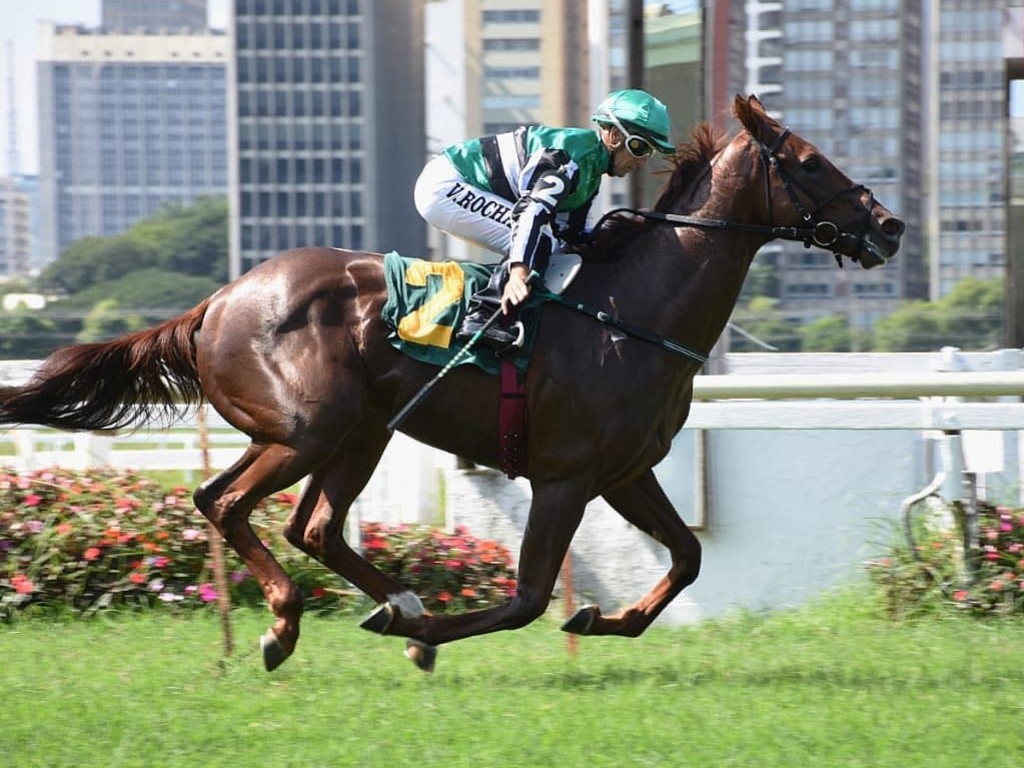 Foto: Oryx ratifica a liderança da geração no GP Pres. José de Souza Queiroz (G2)