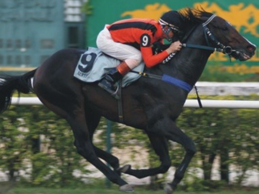 Foto: Derby winner e produtor de G1, Ivoire morre, no Paraná