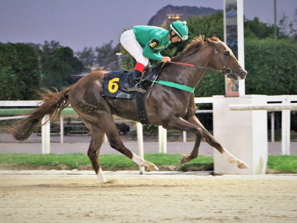 Foto: Last Fantastic, um galope de saúde na P.E. Helíaco