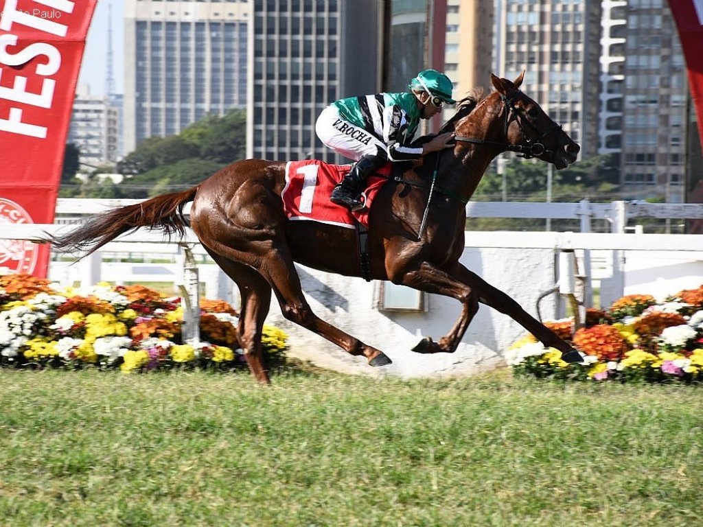 Foto: Em exibição de luxo, Oryx domina o Grande Prêmio Juliano Martins (G1)