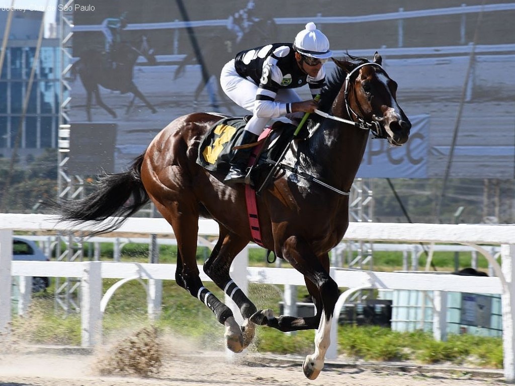 Foto: De volta à areia, Rey de Mônaco vence o Clássico Pres. João Tobias de Aguiar (L)