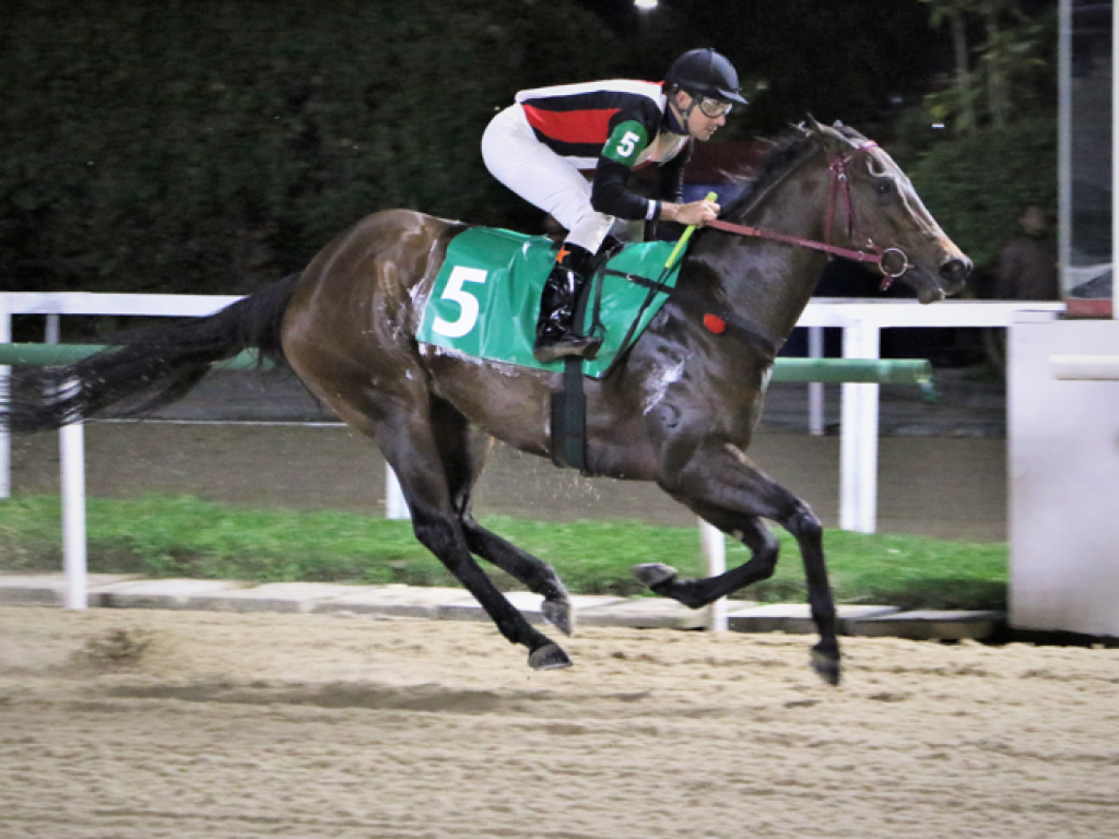 Foto: Meydan faz frente aos machos e vence a Prova Especial Dancer Man
