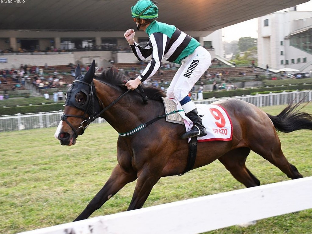 Foto: Em tarde de Haras Cifra, Opazo vence o Grande Prêmio Ipiranga (G1)