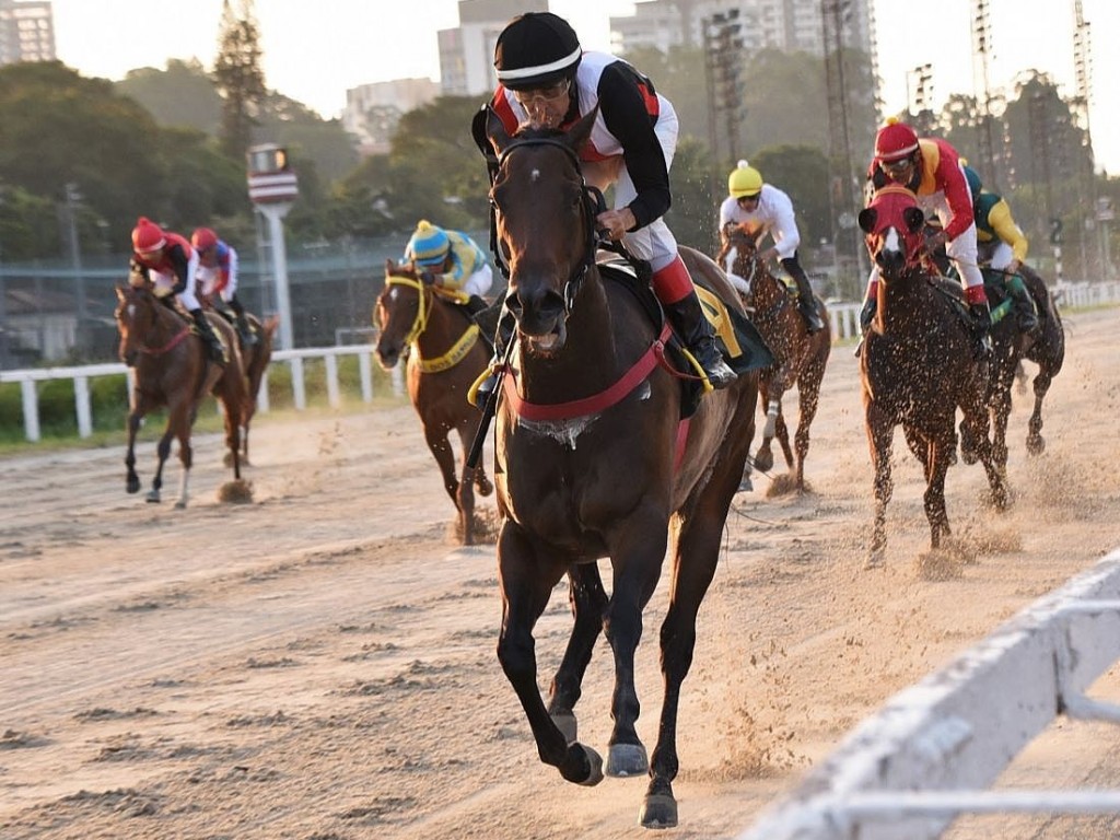 Foto: Meydan confirma favoritismo na Prova Especial Alberto Marchioni