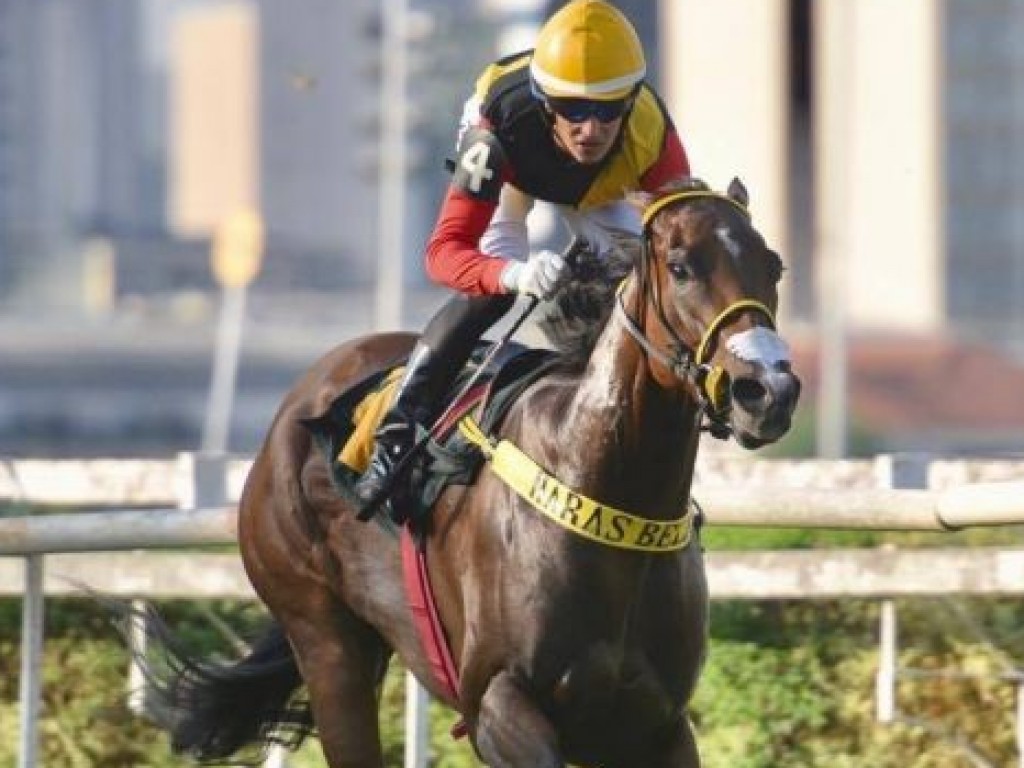 Foto: Holy Legal vence mais uma em São Paulo