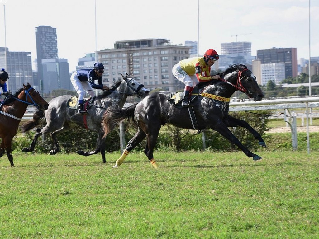 Foto: Humble Hero mostra forma para a Taça de Prata