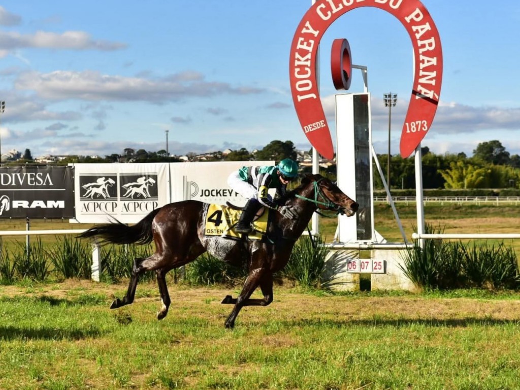 Foto: De volta à grama, Osten levanta a Pegasus Classic