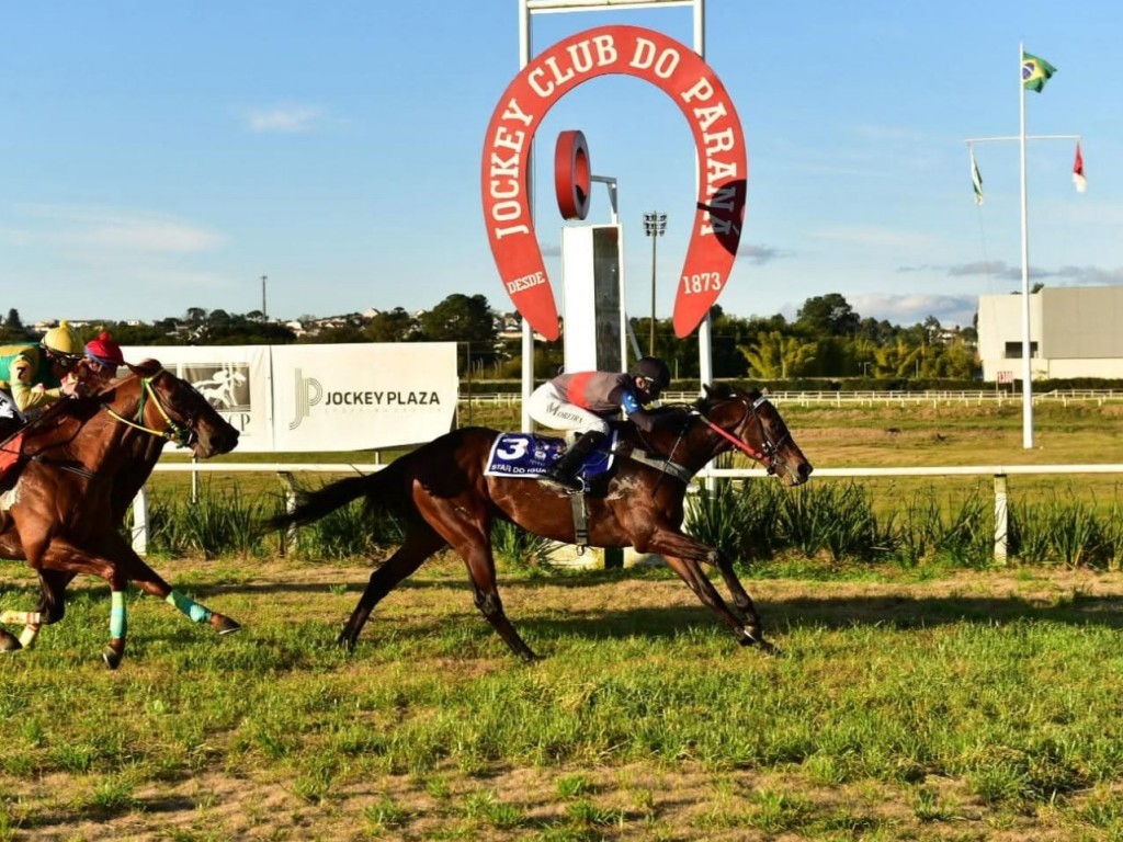 Foto: Star do Iguassu confirma na Pegasus Brasil Juvenile