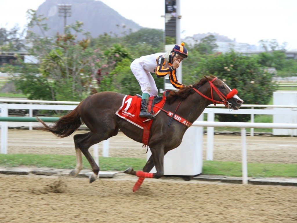 Foto: Special Envoy supera Last Hope no GP Salgado Filho (gr.III)