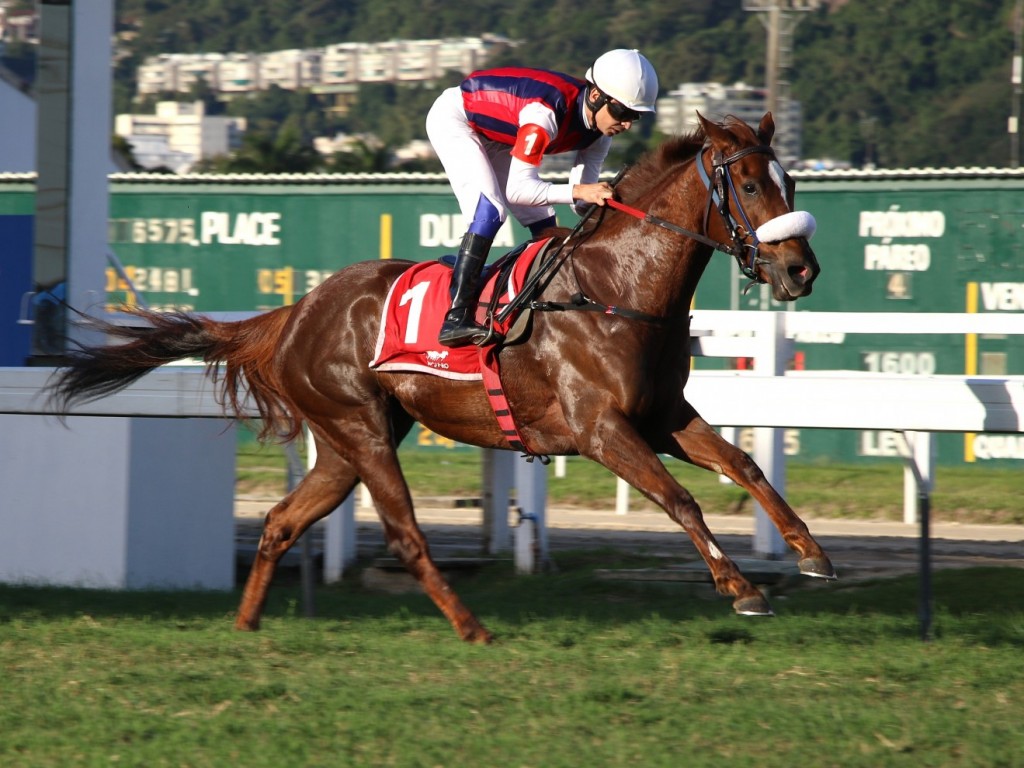 Foto: Nova Déli demonstra sobras no GP Onze de Julho (G2)