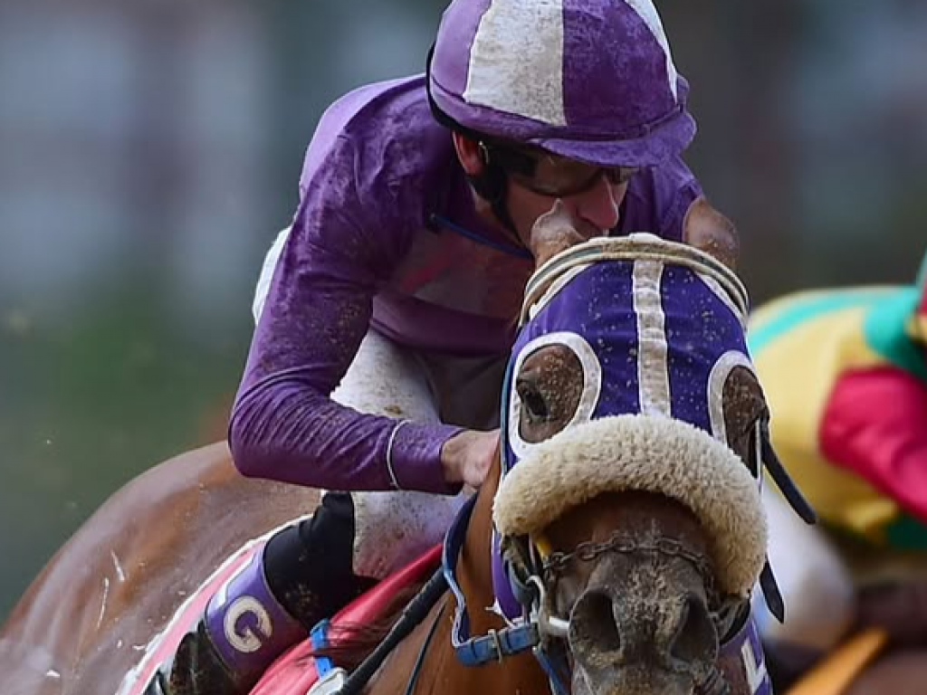 Foto: Cristal: "tinindo", L'Amico Mio vence clássico pela segunda semana consecutiva